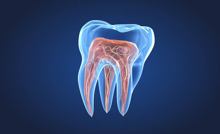 Serviço de Endodontia